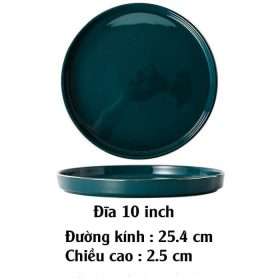 Đĩa 10 inch