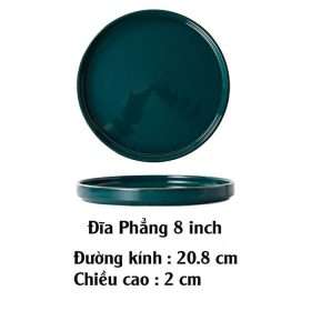 Đĩa phẳng 8 inch