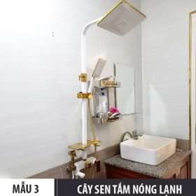 Mẫu 3