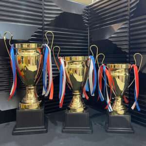 Cúp Thể Thao, Vinh Danh Giải Vàng Mẫu 2