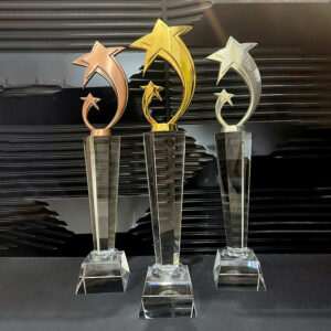 Cúp Pha Lê Ngôi Sao Vàng Bạc Đồng