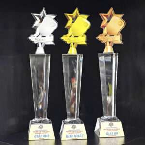 Cúp Pickleball Pha Lê Vàng Bạc Đồng